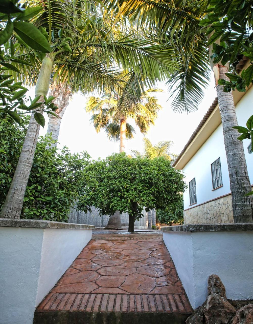 Casa Rural Tipica Andaluza, Wifi,Piscina, Barbacoa, Aire Acondicionado, 5Min Centros Alhaurín el Grande Екстериор снимка