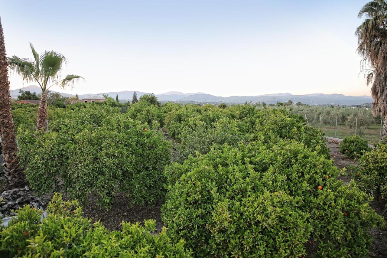 Casa Rural Tipica Andaluza, Wifi,Piscina, Barbacoa, Aire Acondicionado, 5Min Centros Alhaurín el Grande Екстериор снимка